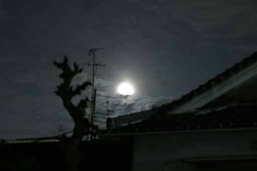 朧月夜