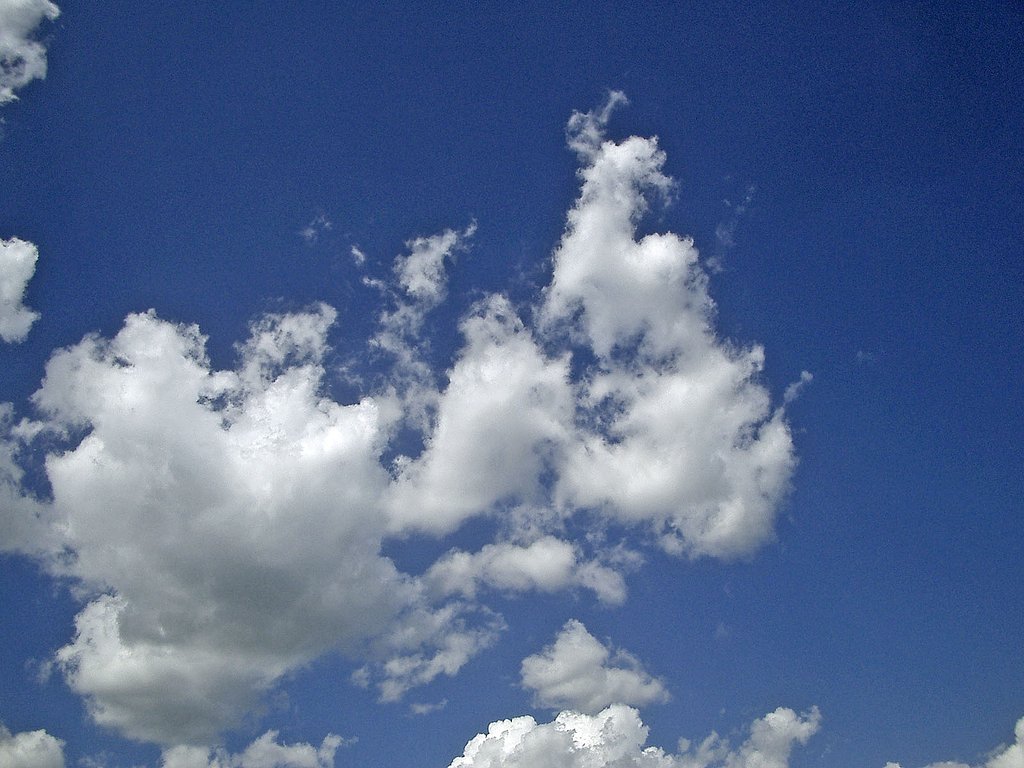 筋斗雲じゃない