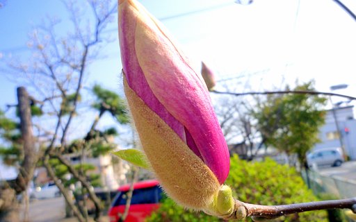 真似ました。