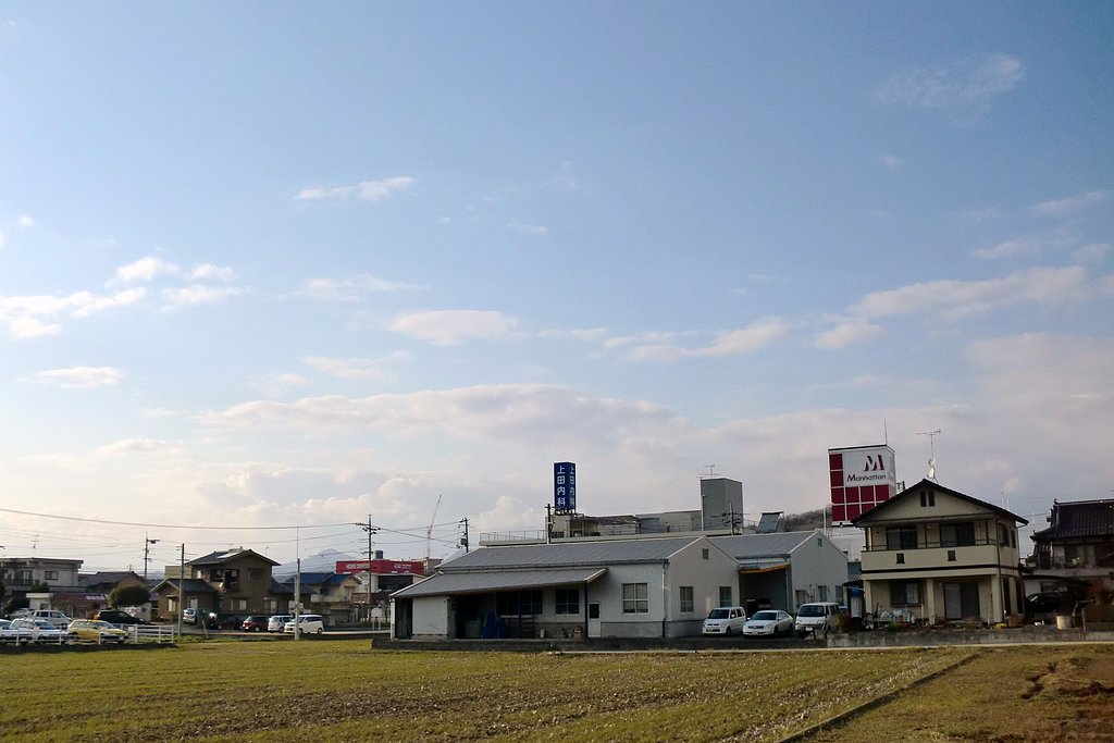 定点春空