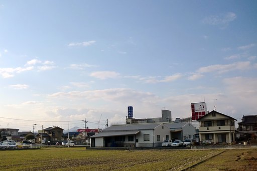 定点春空