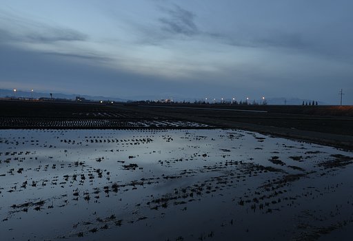 早春の夕暮れ