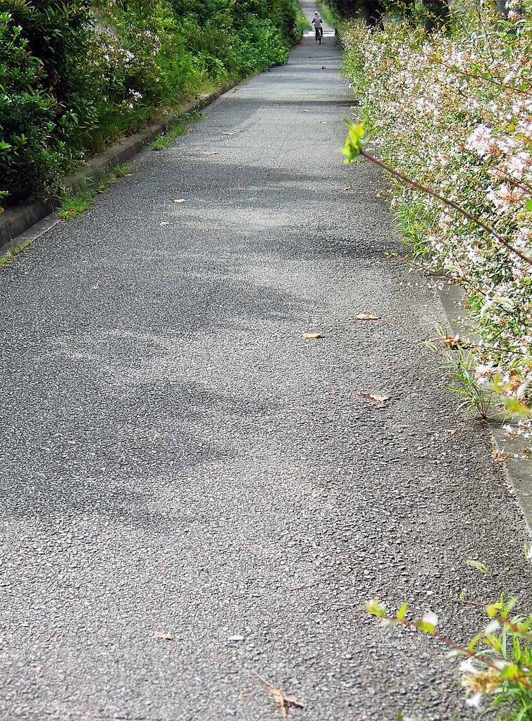 【長】〜い道
