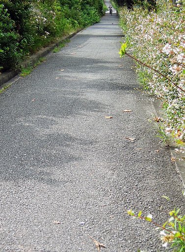 【長】〜い道