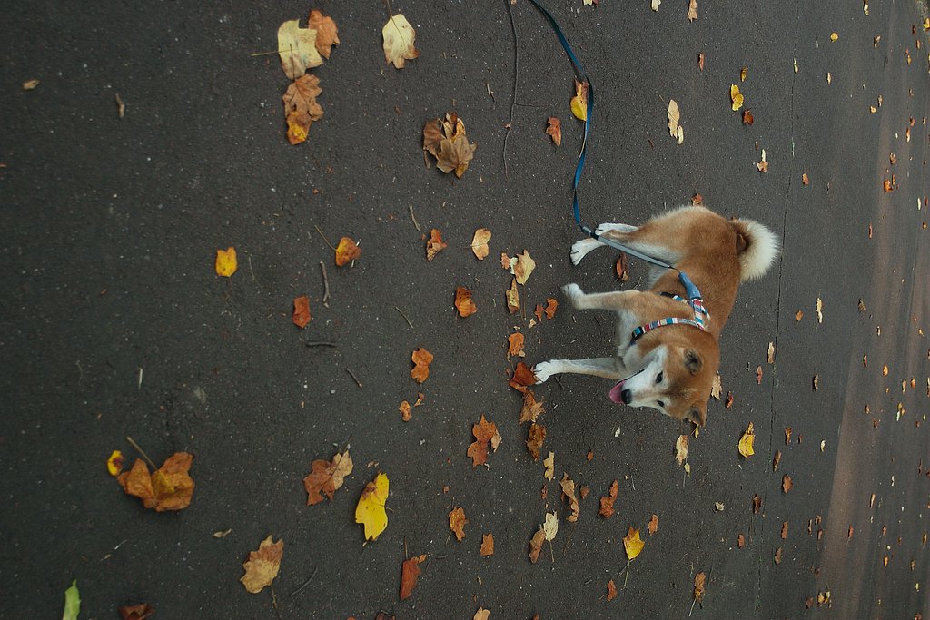 Tokina AF19〜35mm F3.5-4.5