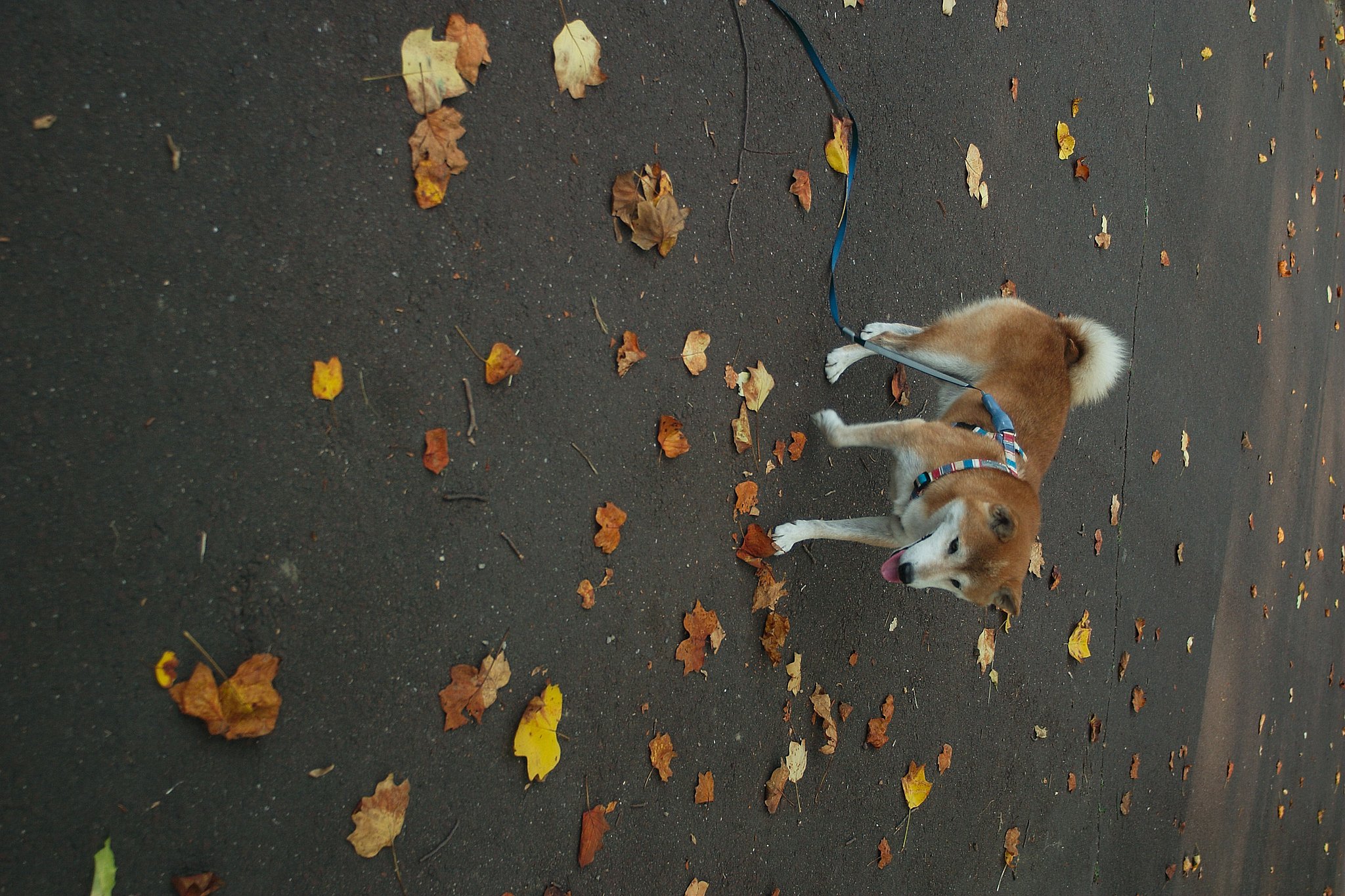 Tokina AF19〜35mm F3.5-4.5