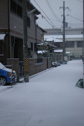 結構積もったよ
