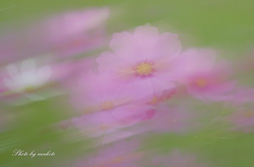 風