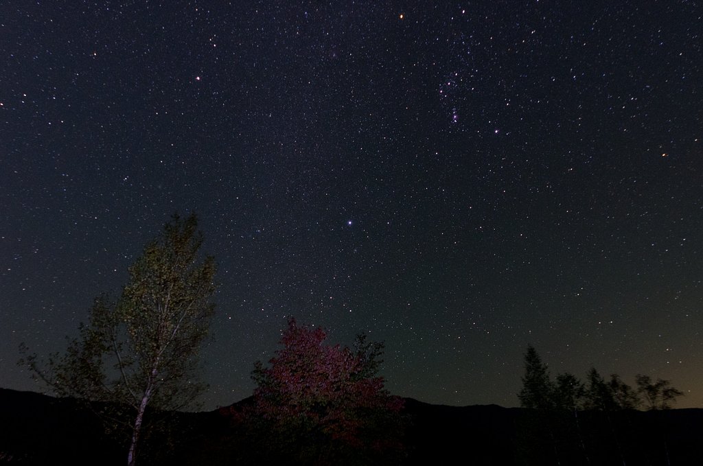 紅葉と冬の星座