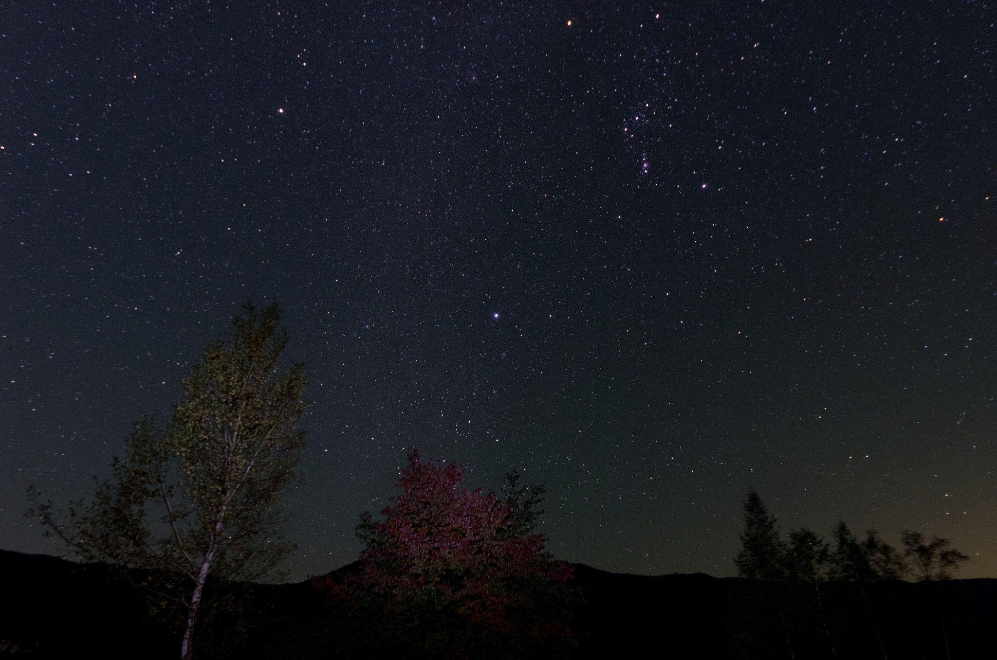 紅葉と冬の星座