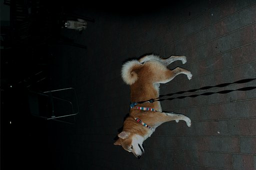 気付かなかった。