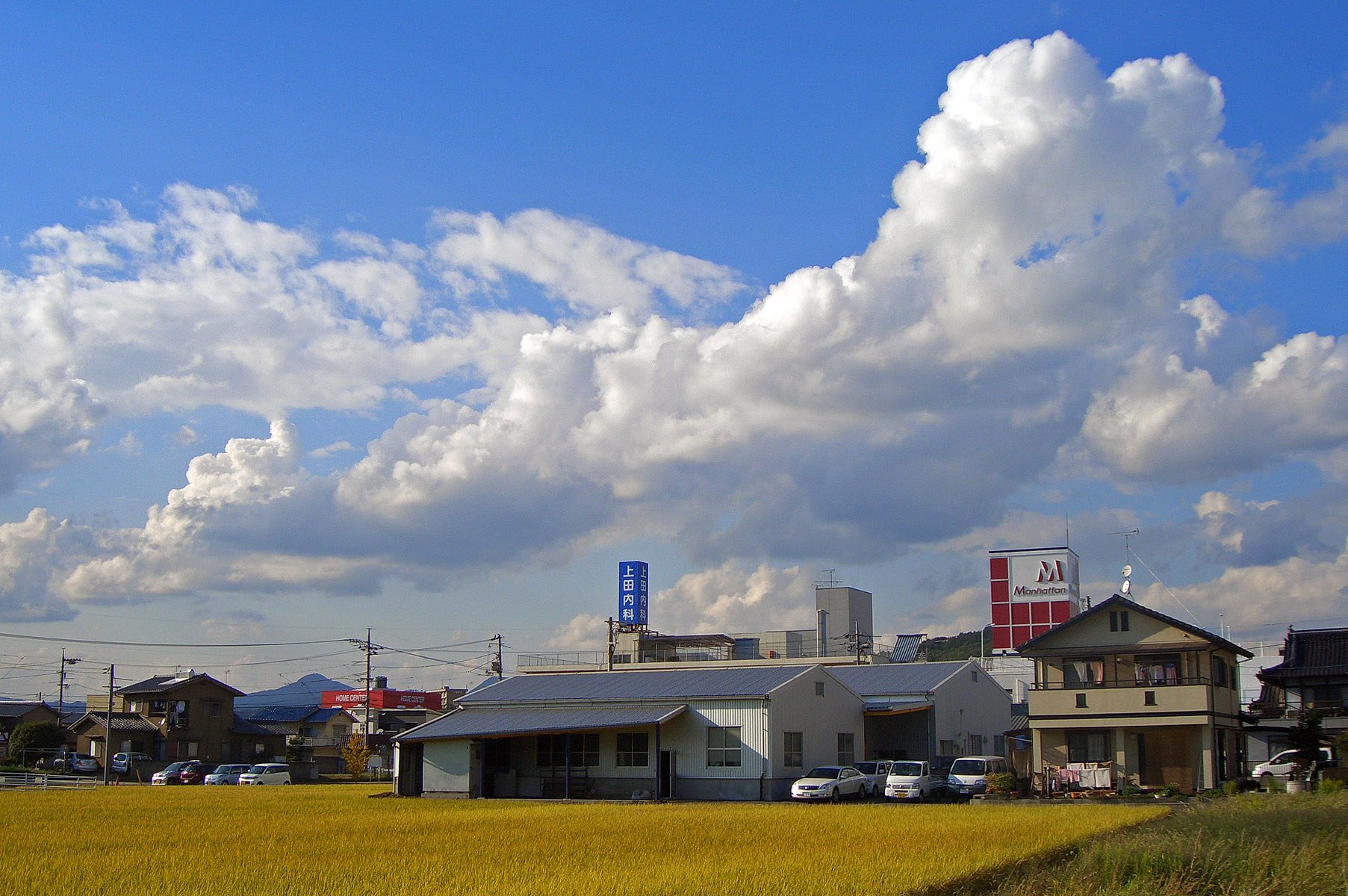 愉快な青【空】