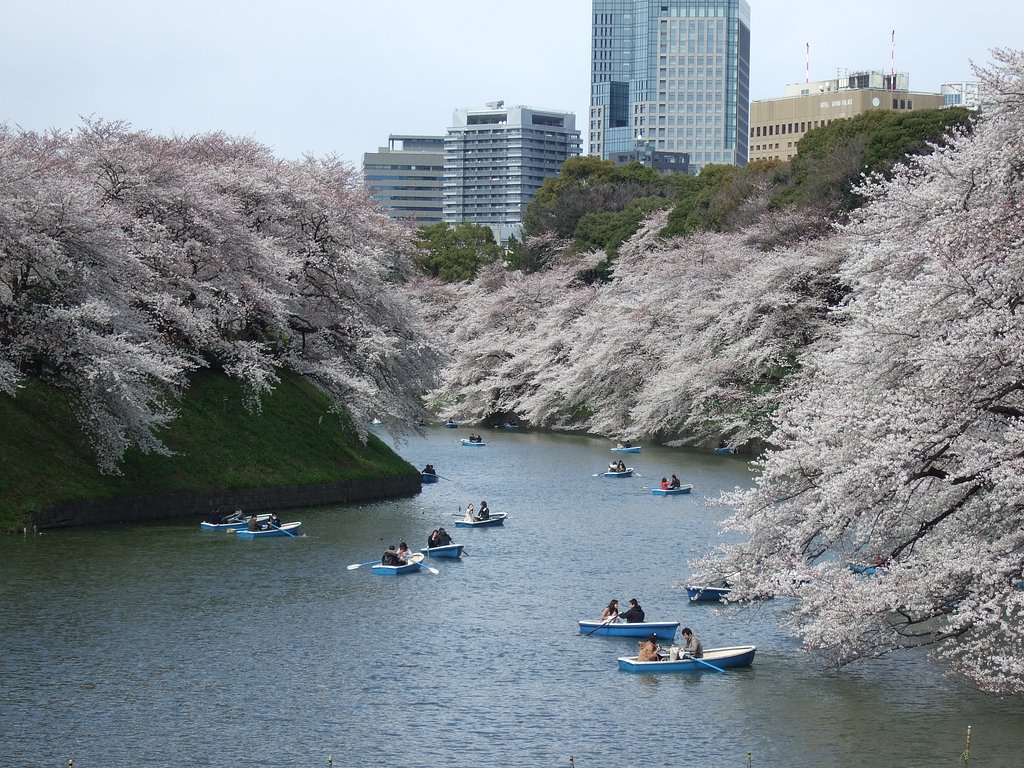 千鳥が淵