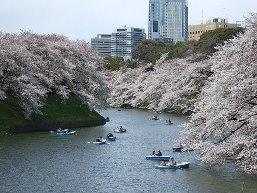 千鳥が淵