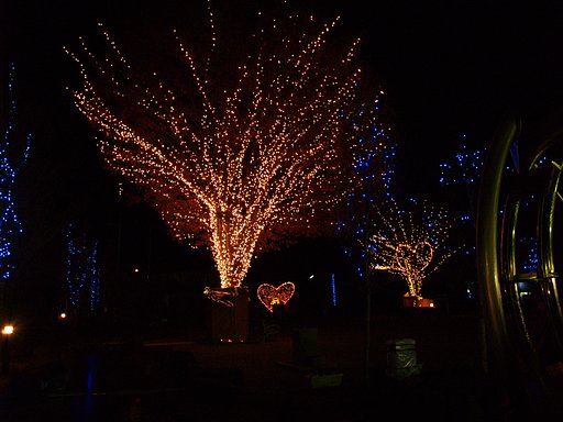 ISO800