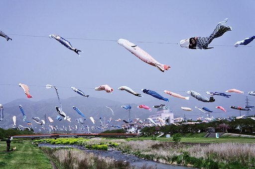 【淡彩】 こいのぼり