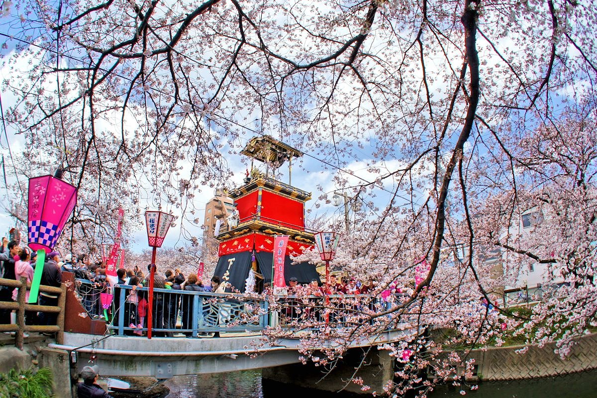 【淡彩】桜に誘われて〜