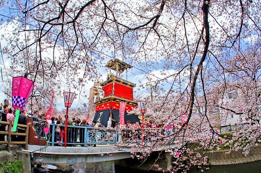 【淡彩】桜に誘われて〜