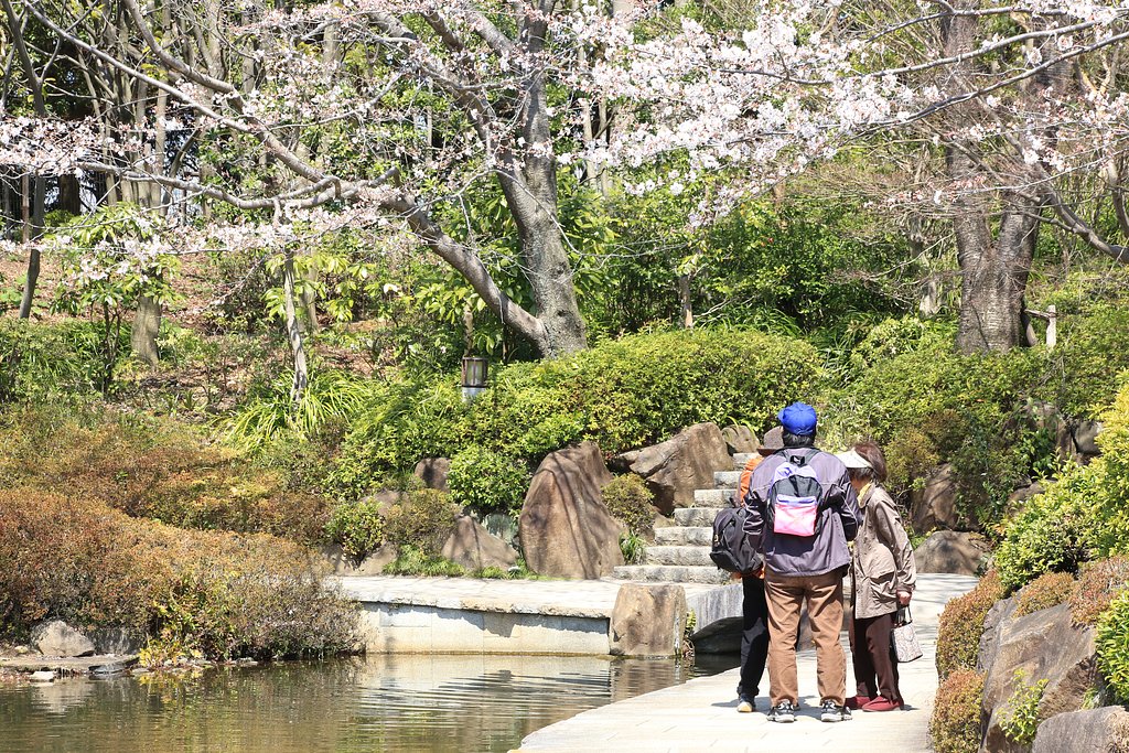 花見日和