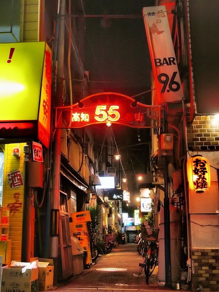 土佐の夜