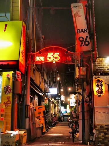 土佐の夜