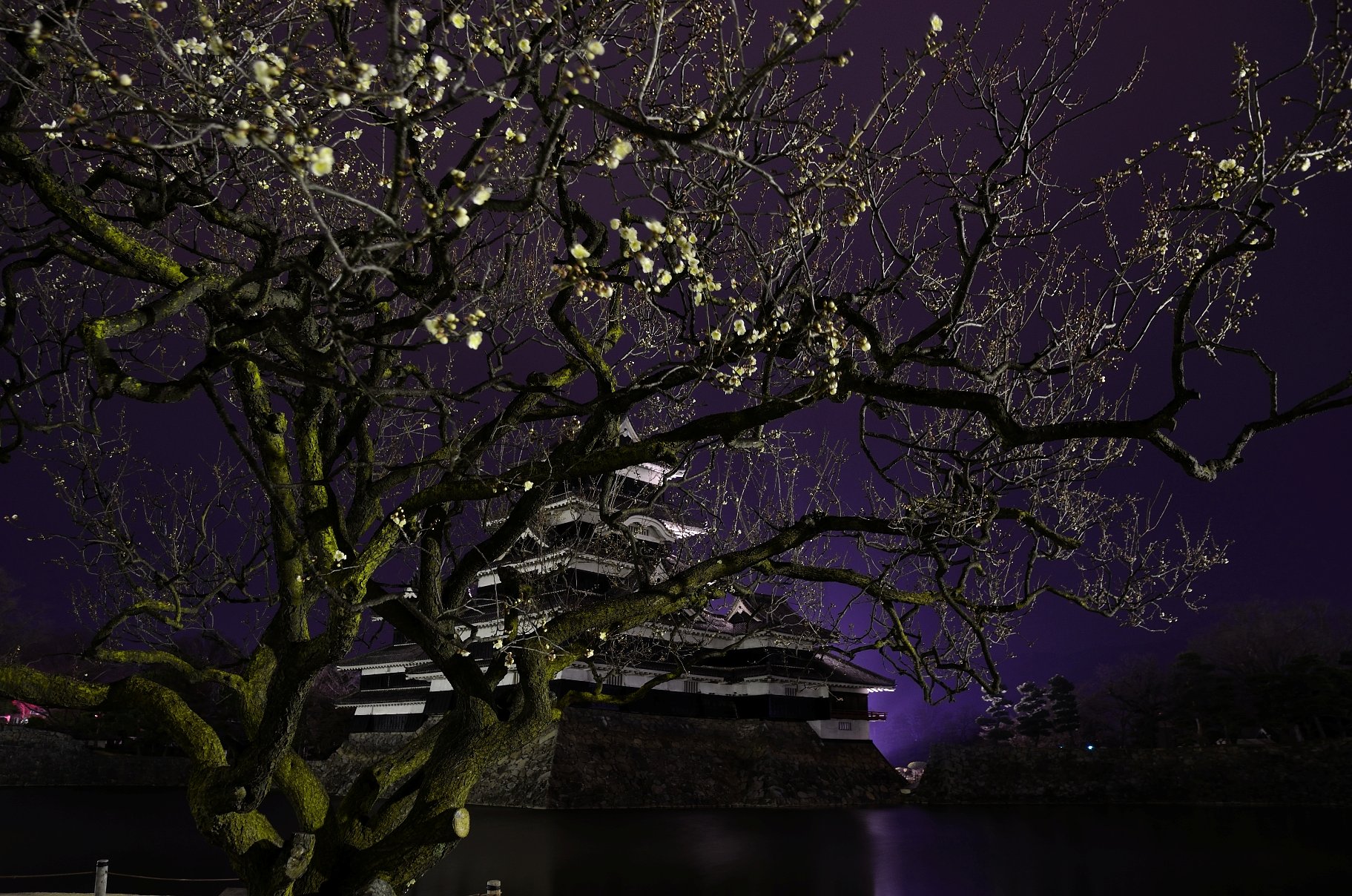 風の先陣
