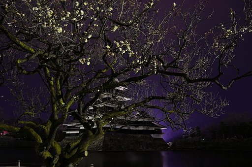 風の先陣