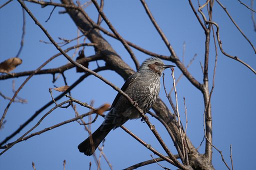 AF REFLEX 500mm F8