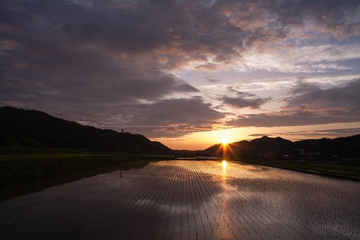 日の入りの頃にすばらしい夕焼けに。