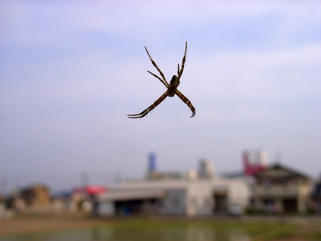 晴れましたが・・