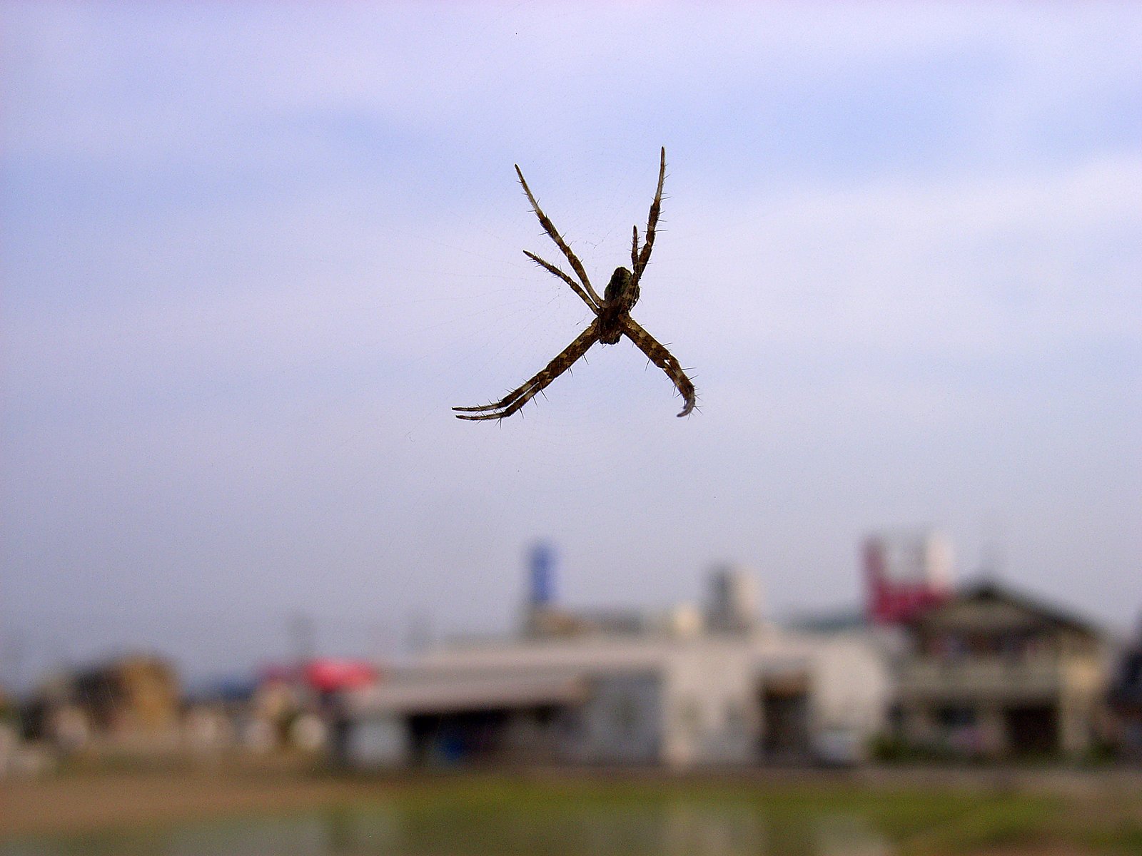晴れましたが・・