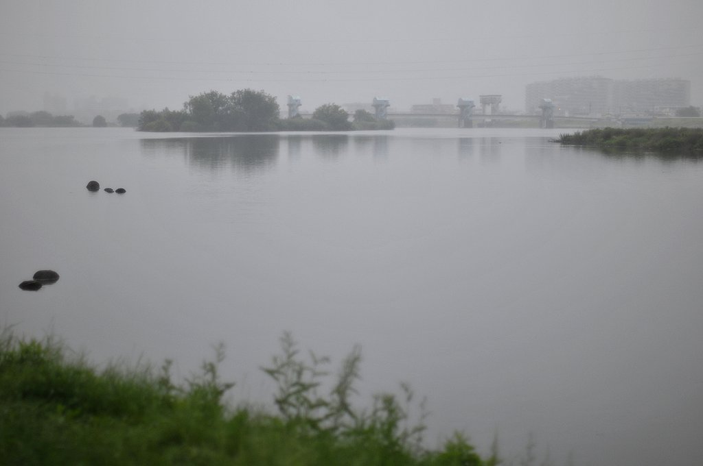 梅雨の川