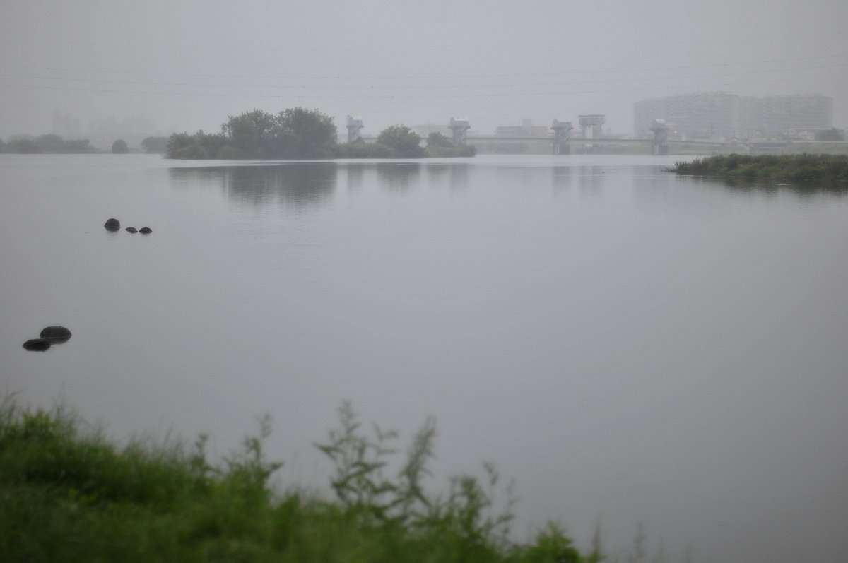梅雨の川