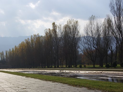 公園3