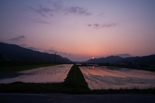 素晴らしい夕焼けになりました。