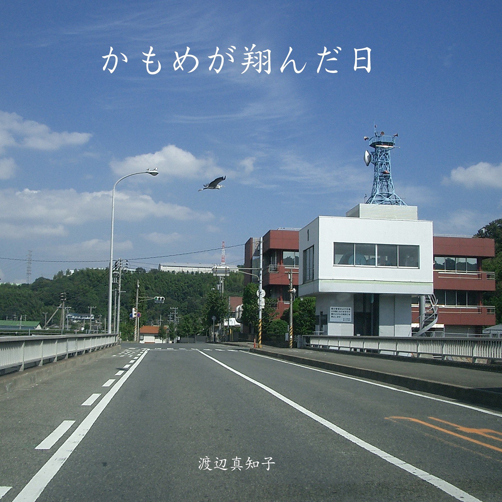 【この一曲】かもめが翔んだ日