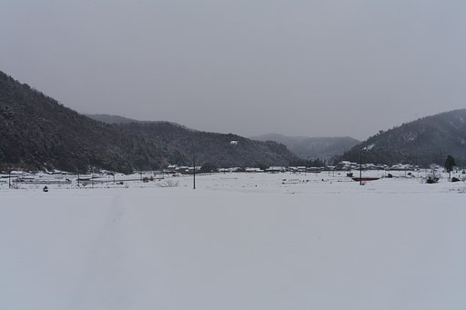 今朝はミゾレです。