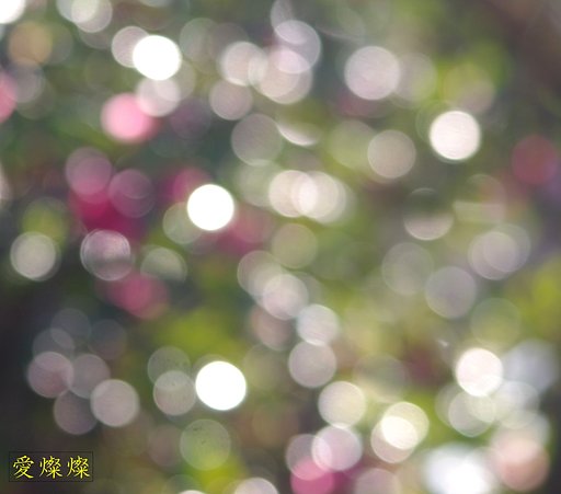 【この一曲】 愛燦燦