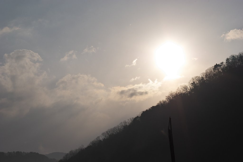 晴れてきました。