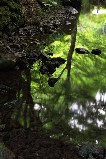 水鏡
