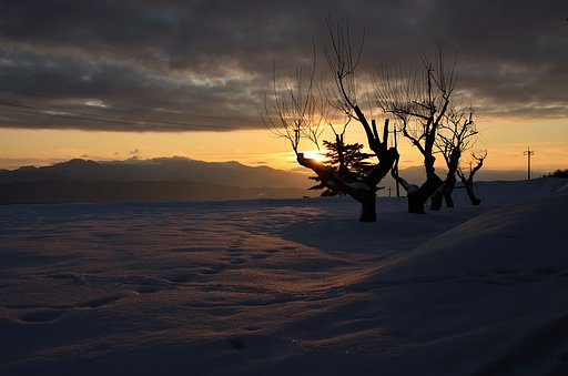 天と地のはざまに生きて
