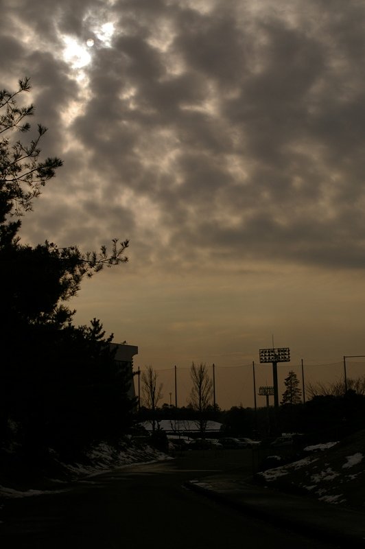 どんな天気か空を見上げると・・・