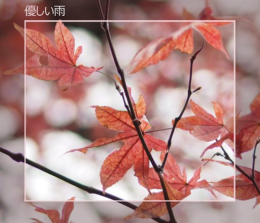 【この一曲】優しい雨