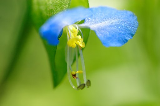 6月8日の写真