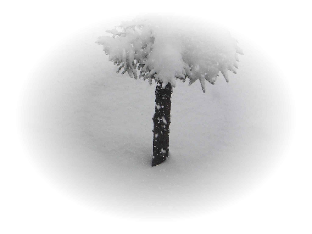大雪