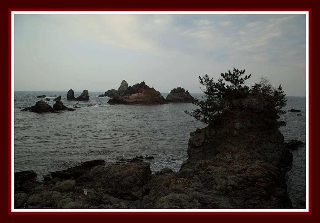 穴見海岸にて（鳥取）