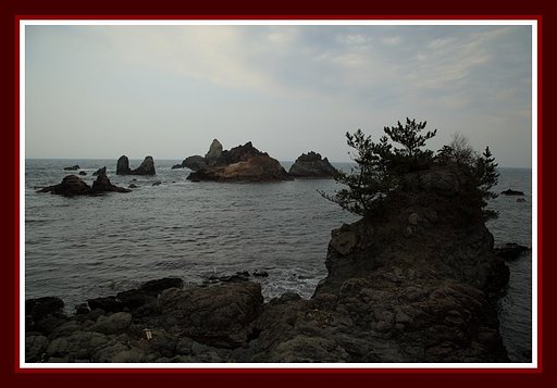穴見海岸にて（鳥取）