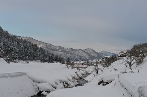 朝の西空！