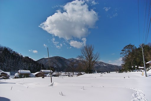 爽やかな快晴に。