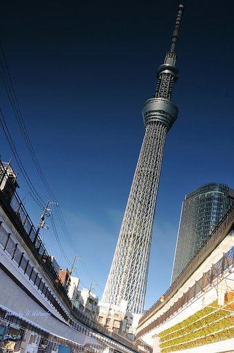 逆さ？スカイツリー